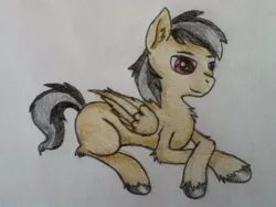 Size: 745x559 | Tagged: safe, artist:drakovyte, derpibooru import, oc, unofficial characters only, pegasus, pony, 2014, black hair, black tail, brown coat, brown eyes, colored pencil drawing, image, jpeg, male, not daring do, pegasus oc, smiling, solo, stallion, tail, traditional art, wings