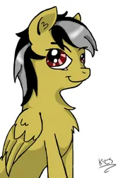 Size: 640x960 | Tagged: safe, artist:drakovyte, derpibooru import, oc, unofficial characters only, pegasus, pony, 2014, image, jpeg, not daring do, pegasus oc, simple background, smiling, solo, white background, wings
