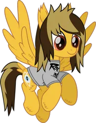 Size: 891x1145 | Tagged: safe, artist:lightningbolt, derpibooru import, ponified, pegasus, pony, g4, .svg available, alex gaskarth, all time low, butt fluff, cheek fluff, clothes, colored pupils, derpibooru exclusive, dyed mane, dyed tail, ear fluff, fluffy, flying, hoof fluff, image, male, movie accurate, png, shirt, simple background, solo, spread wings, stallion, t-shirt, tail, tail feathers, transparent background, vector, wing fluff, wings