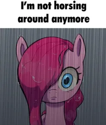 Size: 580x680 | Tagged: safe, artist:talimingi, derpibooru import, pinkie pie, earth pony, pony, g4, bust, female, frown, hair over one eye, horse puns, image, jpeg, looking at you, mare, meme, ponified meme, pun, rain, solo, text, wet, wet mane