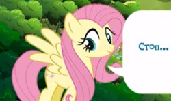 Size: 417x247 | Tagged: safe, derpibooru import, screencap, fluttershy, pegasus, pony, cyrillic, game, gameloft, image, jpeg, russian, solo, stop