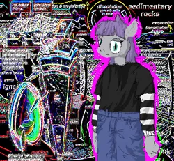 Size: 516x477 | Tagged: safe, artist:y122n20497166, derpibooru import, maud pie, anthro, earth pony, abstract background, black shirt, blue eyes, blue pants, clothes, digital art, gray coat, image, pants, pixel art, png, purple hair, solo, striped sleeves, tomboy