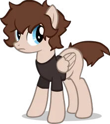 Size: 4240x4780 | Tagged: safe, artist:foxtrnal, derpibooru import, oc, unofficial characters only, pegasus, pony, blue eyes, brown mane, clothes, frown, high res, image, pegasus oc, png, shirt, show accurate, simple background, solo, t-shirt, transparent background, wings