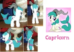 Size: 964x683 | Tagged: safe, artist:hope-loneheart, derpibooru import, earth pony, pony, capricorn, capricorn (g4), customized toy, fake horns, female, figure, image, irl, mare, photo, png, ponyscopes, toy