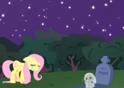 Size: 785x559 | Tagged: semi-grimdark, edit, editor:mrhorsnt, ponerpics import, angel bunny, fluttershy, ghost, pegasus, pony, undead, crying, crying on the outside, death, grave, gravestone, image, night, outdoors, png, stars, tears of pain