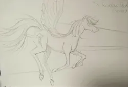Size: 4000x2721 | Tagged: safe, derpibooru import, rainbow dash, horse, pegasus, flying, image, jpeg, paper, pencil drawing, photo, side view, simple background, sketch, solo, text, traditional art, white background