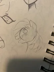 Size: 1500x2000 | Tagged: safe, artist:texacity, derpibooru import, big macintosh, earth pony, pony, bust, g4, image, jpeg, male, mouth, old art, pencil drawing, sketch, sketch dump, sketchbook, stallion, traditional art