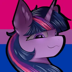 Size: 4000x4000 | Tagged: safe, artist:skylarty, derpibooru import, twilight sparkle, advertisement, commission, icon, image, png, pride, pride flag, pride month, ych example, your character here