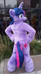 Size: 528x960 | Tagged: safe, artist:spainfischer, derpibooru import, twilight sparkle, unicorn, fursuit, image, irl, jpeg, outdoors, photo, ponysuit, rear view, solo, unicorn twilight