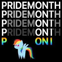 Size: 600x600 | Tagged: safe, artist:miketheuser, derpibooru import, editor:pink amena, rainbow dash, pegasus, pony, black background, g4, image, lgbt, lgbtq, meme, png, pointy ponies, ponified meme, pride month, rainbow flag, shitposting, simple background, solo, text