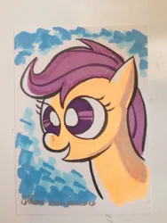 Size: 768x1024 | Tagged: safe, artist:thom zahler, derpibooru import, scootaloo, pegasus, pony, 2013, female, filly, foal, g4, image, jpeg, kids read comics, open mouth, open smile, signature, smiling, solo, traditional art