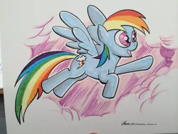 Size: 1024x768 | Tagged: safe, artist:thom zahler, derpibooru import, rainbow dash, pegasus, pony, 2014, cloud, female, flying, g4, image, jpeg, mare, open mouth, open smile, signature, smiling, solo, spread wings, tail, wings