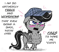 Size: 1750x1542 | Tagged: safe, artist:chopsticks, derpibooru import, oc, oc:chopsticks, unofficial characters only, pegasus, pony, blushing, butt fluff, cheek fluff, chest fluff, chibi, chipped tooth, dialogue, hat, image, male, nose wrinkle, open mouth, png, simple background, smol, solo, stallion, stray strand, talking to viewer, text, unshorn fetlocks, white background