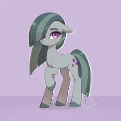 Size: 1200x1200 | Tagged: safe, artist:inkypuso, derpibooru import, marble pie, earth pony, pony, cute, female, floppy ears, g4, hair over one eye, image, jpeg, marblebetes, mare, purple background, raised hoof, simple background, solo