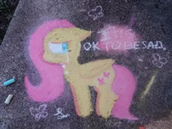 Size: 1080x810 | Tagged: safe, artist:comicmaker, derpibooru import, fluttershy, butterfly, insect, pegasus, pony, chalk, chalk art, chalk drawing, crying, female, floppy ears, folded wings, g4, image, jpeg, looking back, mare, photo, sad, solo, tail, traditional art, wings