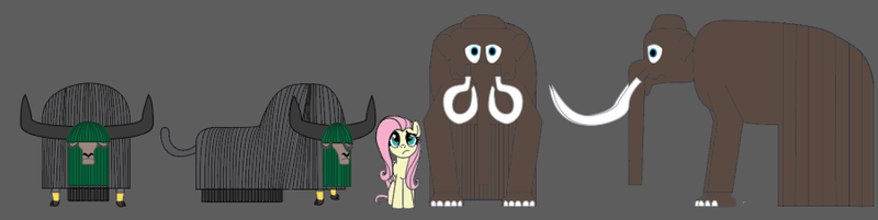 Size: 902x227 | Tagged: safe, artist:polorenzielephant, derpibooru import, fluttershy, oc, oc:kayor, oc:ro-moth, mammoth, pegasus, yak, g4, concept art, image, png, scale