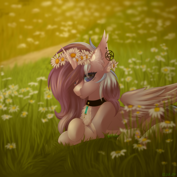 Size: 2500x2500 | Tagged: safe, artist:n3tt0l, derpibooru import, oc, unofficial characters only, alicorn, chamomile, ear piercing, earring, floral head wreath, flower, image, jewelry, looking at you, necklace, piercing, png, solo, sunset