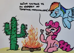 Size: 2048x1475 | Tagged: safe, artist:hoofclid, derpibooru import, pinkie pie, rainbow dash, earth pony, pegasus, pony, g4, cactus, campfire, dialogue, duo, duo female, female, food, hoof hold, image, jpeg, mare, marker drawing, marshmallow, pinkie being pinkie, roasted marshmallow, traditional art