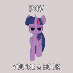 Size: 450x450 | Tagged: safe, artist:k. dale, derpibooru import, twilight sparkle, twilight sparkle (alicorn), alicorn, pony, g4, animated, gif, image, it's coming right at us, movie accurate, simple background, smiling, smug, solo, text, walking, white background
