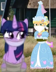 Size: 1080x1398 | Tagged: safe, derpibooru import, applejack, twilight sparkle, twilight sparkle (alicorn), alicorn, earth pony, pony, bondage, bound and gagged, cloth gag, clothes, damsel in distress, dress, froufrou glittery lacy outfit, gag, hat, help us, hennin, image, over the nose gag, png, princess, princess applejack, rope, rope bondage, tied up