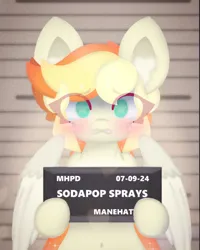 Size: 1080x1349 | Tagged: safe, artist:sodapop sprays, derpibooru import, oc, oc:sodapop sprays, unofficial characters only, pegasus, pony, semi-anthro, barbie mugshot meme, belly, belly button, chest fluff, crying, ear fluff, guilty, image, jail, manehattan, meme, mugshot, png, solo, wide eyes