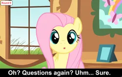 Size: 1920x1212 | Tagged: safe, derpibooru import, edit, edited screencap, screencap, fluttershy, pegasus, pony, a bird in the hoof, g4, season 1, caption, cs captions, female, image, image macro, looking at you, mare, o.o, png, solo, text