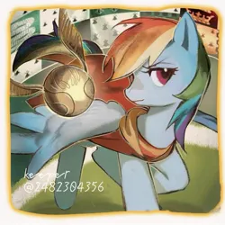 Size: 1280x1280 | Tagged: safe, artist:sunsetshimmer0808, derpibooru import, rainbow dash, pegasus, pony, aside glance, female, field, golden snitch, harry potter (series), image, jpeg, looking at you, mare, quidditch, sideways glance, snitch, solo, text