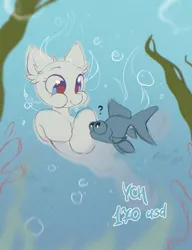 Size: 1570x2048 | Tagged: safe, artist:mirtash, derpibooru import, oc, fish, pony, blue eyes, blue text, bubble, cheeks, colored pupils, commission, ear fluff, image, jpeg, kelp, looking at something, question mark, red pupils, smiling, submerged, swimming, text, underwater, water, your character here