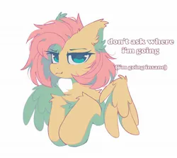 Size: 1870x1670 | Tagged: safe, alternate version, artist:mirtash, derpibooru import, fluttershy, pegasus, pony, g4, alternate hairstyle, alternate universe, blue eyelashes, blue pupils, bust, chest fluff, colored eyelashes, colored pupils, ear fluff, ear tufts, eyelashes, female, frown, image, jpeg, leg fluff, mare, narrowed eyes, partially open wings, pink mane, raised hoof, raised hooves, short hair fluttershy, short mane, simple background, solo, teal eyes, text, white background, white text, wing fluff, wings, yellow coat