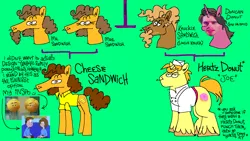 Size: 1440x810 | Tagged: safe, artist:msponies, derpibooru import, cheese sandwich, donut joe, earth pony, pony, unicorn, g4, family tree, green background, horn, image, jerma985, png, prevgen, simple background