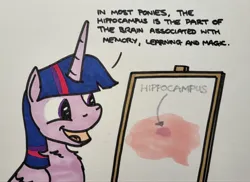 Size: 2048x1495 | Tagged: safe, artist:hoofclid, derpibooru import, twilight sparkle, twilight sparkle (alicorn), alicorn, pony, g4, brain, chart, dialogue, female, image, jpeg, mare, marker drawing, open mouth, open smile, organs, smiling, solo, traditional art