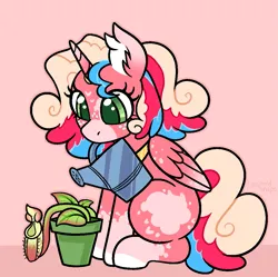 Size: 1005x1000 | Tagged: safe, artist:leopardsnaps, derpibooru import, oc, oc:body farm, unofficial characters only, alicorn, pony, alicorn oc, carnivorous plant, coat markings, colored wings, curly mane, ear fluff, facial markings, female, gradient ears, gradient horn, gradient wings, horn, image, looking at something, looking down, mare, markings, multicolored wings, pink background, plant, png, simple background, sitting, socks (coat marking), solo, watering can, wings