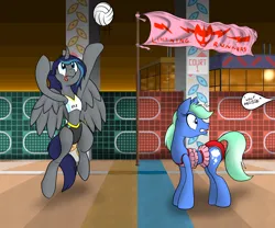 Size: 6144x5120 | Tagged: safe, artist:dashingjack, artist:techno_universal, derpibooru import, oc, oc:techno universal, oc:wintergreen, unofficial characters only, alicorn, earth pony, pony, clothes, crossdressing, female, image, lipstick, male, mare, midriff, png, sports, stallion, swimsuit, volleyball