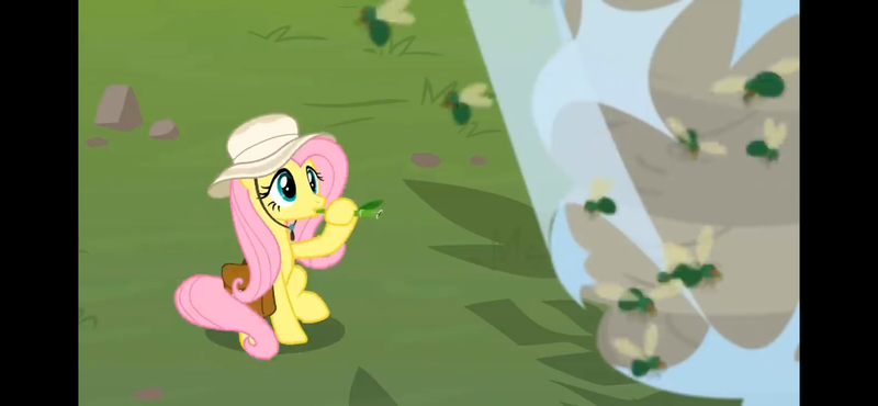 Size: 2532x1170 | Tagged: safe, derpibooru import, screencap, fluttershy, withers, fly, fly-der, hybrid, insect, pegasus, pony, spider, daring doubt, g4, season 9, spoiler:s09, bamboo flute, bee hive, blowing flute, cartoon physics, cute, female, flute, henchmen, image, mare, musical instrument, png, safari hat, shyabetes, solo, solo female