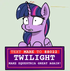 Size: 1127x1151 | Tagged: semi-grimdark, artist:harmonicglow, derpibooru import, twilight sparkle, twilight sparkle (alicorn), alicorn, g4, assassination, attempted murder, blood, current events, female, folded wings, image, implied donald trump, make equestria great again, png, politics, wings