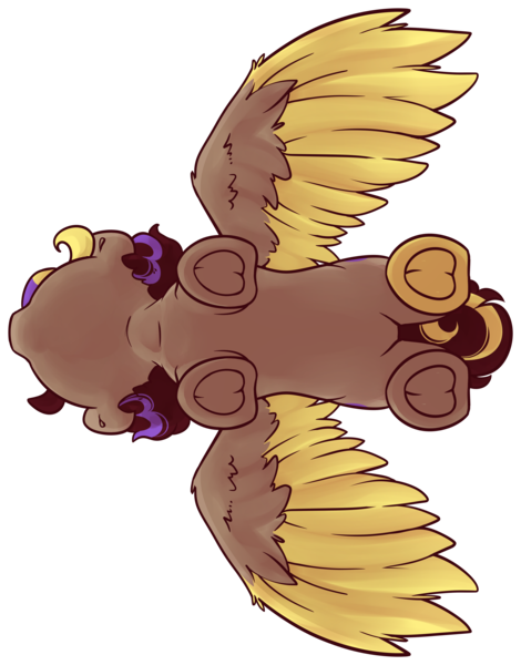 Size: 3083x3936 | Tagged: safe, artist:midnightpremiere, derpibooru import, oc, oc:hors, unofficial characters only, pegasus, image, png, solo, spread wings, standing, underside view, wings