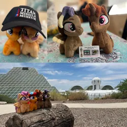 Size: 894x894 | Tagged: safe, derpibooru import, oc, oc:blazing beams, oc:coffee, oc:hors, oc:justinaloo, unofficial characters only, arizona, biosphere 2, image, jpeg, photo, plushie, titan missile museum