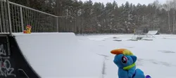 Size: 3264x1464 | Tagged: safe, artist:kuba18i, derpibooru import, rainbow dash, scootaloo, pegasus, pony, g4, duo, duo female, female, image, irl, jpeg, outdoors, photo, plushie, poland, ponies around the world, ponies in real life, pony plushie, ramp, skate park, snow, sosnowiec