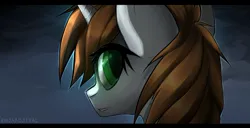 Size: 2111x1083 | Tagged: safe, artist:enjaadjital, derpibooru import, oc, oc:littlepip, unofficial characters only, pony, unicorn, fallout equestria, bust, female, horn, image, jpeg, mare, portrait, solo, unicorn oc