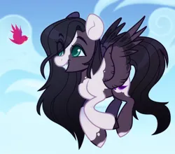 Size: 1280x1127 | Tagged: safe, artist:sadelinav, derpibooru import, oc, unofficial characters only, bird, pegasus, pony, flying, image, jpeg, pegasus oc, solo, wings