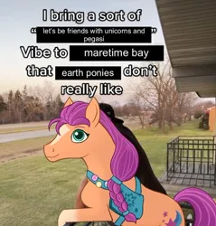 Size: 640x669 | Tagged: safe, artist:catharsis_pigeon, derpibooru import, edit, sunny starscout, earth pony, pony, g5, bag, blaze (coat marking), coat markings, facial markings, female, fluttershy's cutie mark, hoers, image, irl, jpeg, mane stripe sunny, meme, photo, ponified meme, rainbow dash's cutie mark, saddle bag, smiling, socks (coat marking), solo, twilight sparkle's cutie mark