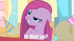 Size: 300x168 | Tagged: safe, derpibooru import, edit, edited screencap, screencap, madame le flour, pinkie pie, sir lintsalot, earth pony, pony, g4, party of one, caption, eyebrows, female, hat, image, image macro, is that so, jpeg, mare, party hat, pinkamena diane pie, raised eyebrow, reaction image, smiling, solo, text