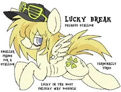 Size: 497x379 | Tagged: safe, artist:muffinz, derpibooru import, oc, oc:lucky break, unofficial characters only, pegasus, pony, hat, image, male, pixel-crisp art, png, shutter shades, solo, stallion, sunglasses