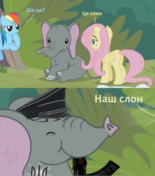 Size: 575x652 | Tagged: safe, derpibooru import, edit, edited screencap, screencap, fluttershy, rainbow dash, elephant, pegasus, pony, g4, she talks to angel, animal, based, cyrillic, duo, duo female, female, gun, image, jpeg, text, ukraine, ukrainian, weapon