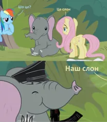 Size: 575x652 | Tagged: safe, derpibooru import, edit, edited screencap, screencap, fluttershy, rainbow dash, elephant, pegasus, pony, g4, she talks to angel, animal, based, cyrillic, duo, duo female, female, gun, image, jpeg, text, ukraine, ukrainian, weapon