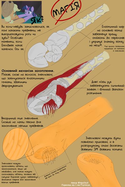 Size: 4000x6000 | Tagged: safe, artist:apuljack, derpibooru import, edit, editor:rimour, screencap, applejack, twilight sparkle, earth pony, pony, unicorn, friendship is magic, g4, analysis, anatomy, body horror, cyrillic, dexterous hooves, diagram, headcanon, hoof hold, hooves, horn, image, physiology, png, science, screencap reference, text, theory, translation, ukrainian, underhoof, unicorn twilight