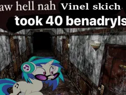 Size: 1024x768 | Tagged: safe, artist:epicheavytf2, artist:pyrogaming, derpibooru import, vinyl scratch, ponified, pony, unicorn, g4, season 5, slice of life (episode), benadryl, door, doors, female, glasses, hallway, horn, hotel, image, implied drug use, implied drugs, mare, meme, misspelling, png, ponified meme, shitposting, silent hill, spunch bob, text, vinyl's glasses, white text, wide eyes, wrong aspect ratio