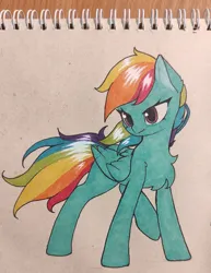 Size: 987x1280 | Tagged: safe, artist:nutellaenjoyer, derpibooru import, rainbow dash, pegasus, pony, chest fluff, female, highlights, image, jpeg, mare, paper background, photo, raised hoof, sketchbook, solo, standing, traditional art, wind, windswept mane