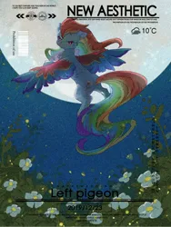 Size: 1620x2160 | Tagged: safe, artist:lendftcn, derpibooru import, rainbow dash, pegasus, pony, g4, butt, colored wings, female, film grain, flower, flying, full moon, image, jpeg, looking at you, looking back, looking back at you, mare, moon, multicolored wings, plot, rainbow wings, solo, spread wings, text, wings