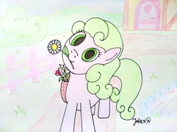 Size: 4032x3016 | Tagged: safe, derpibooru import, daisy, flower wishes, earth pony, pony, basket, bush, daisy (flower), drawing, female, fence, field, flower, heart, house, image, jpeg, mare, mouth hold, outdoors, path, signature, solo